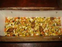 /album/galeria-de-fotos-fotos/ozzy-008-jpg/